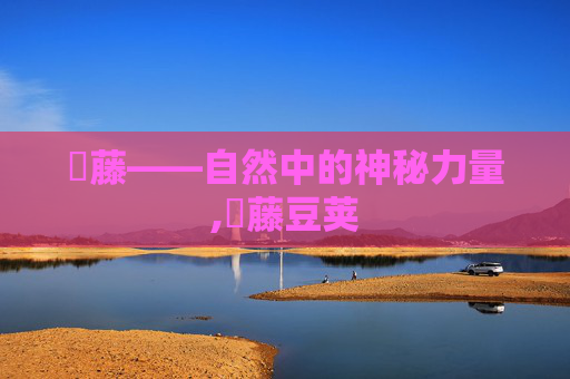 榼藤——自然中的神秘力量,榼藤豆荚