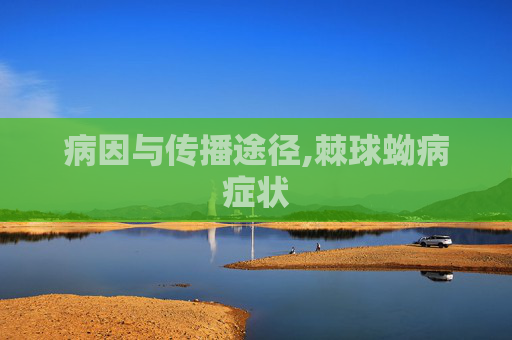 病因与传播途径,棘球蚴病症状