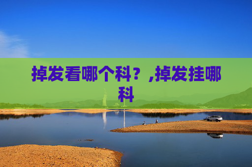 掉发看哪个科？,掉发挂哪科