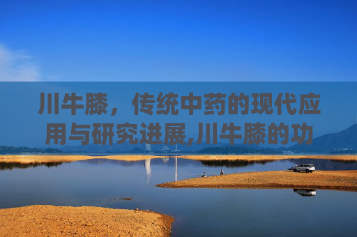 川牛膝，传统中药的现代应用与研究进展,川牛膝的功效