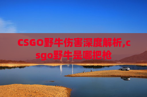 CSGO野牛伤害深度解析,csgo野牛是哪把枪
