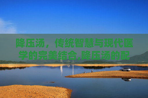 降压汤，传统智慧与现代医学的完美结合,降压汤的配方大全