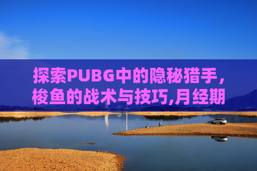 探索PUBG中的隐秘猎手，梭鱼的战术与技巧,月经期喝冰的会怎样