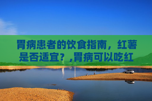 胃病患者的饮食指南，红薯是否适宜？,胃病可以吃红薯吗?