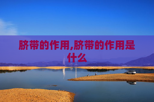 脐带的作用,脐带的作用是什么