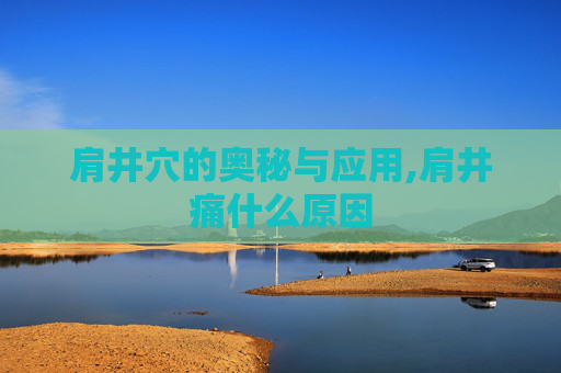 肩井穴的奥秘与应用,肩井痛什么原因