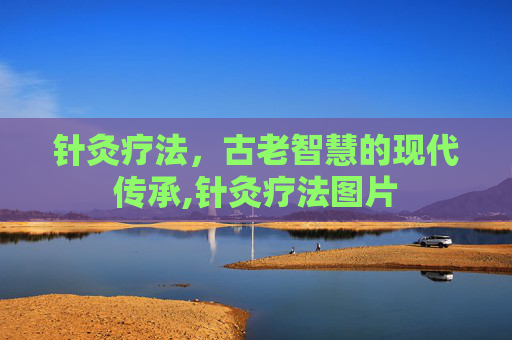 针灸疗法，古老智慧的现代传承,针灸疗法图片