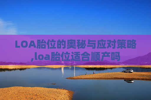 LOA胎位的奥秘与应对策略,loa胎位适合顺产吗