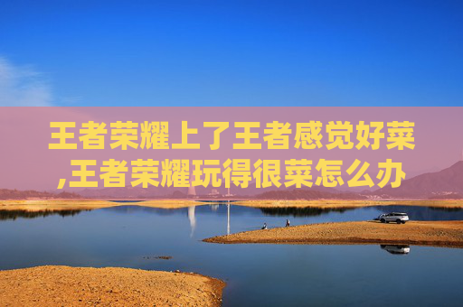 王者荣耀上了王者感觉好菜,王者荣耀玩得很菜怎么办