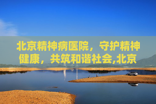 北京精神病医院，守护精神健康，共筑和谐社会,北京精神病医院一览表