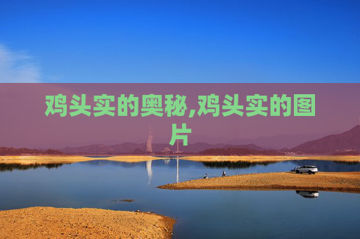 鸡头实的奥秘,鸡头实的图片