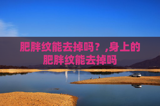 肥胖纹能去掉吗？,身上的肥胖纹能去掉吗