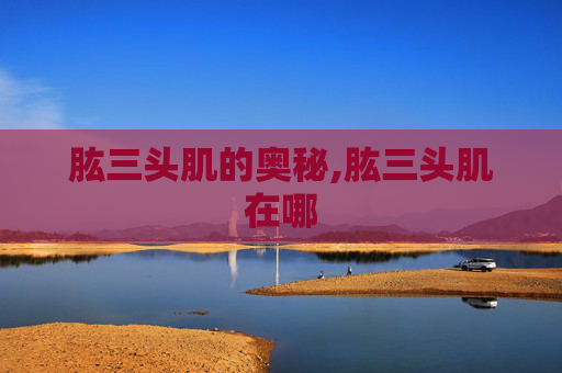 肱三头肌的奥秘,肱三头肌在哪