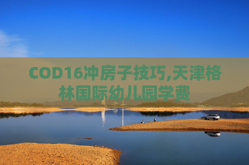 COD16冲房子技巧,天津格林国际幼儿园学费