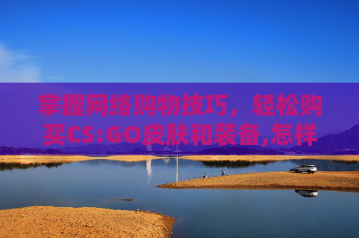 掌握网络购物技巧，轻松购买CS:GO皮肤和装备,怎样在网上买车险