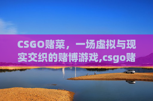 CSGO赌菜，一场虚拟与现实交织的赌博游戏,csgo赌博