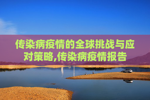 传染病疫情的全球挑战与应对策略,传染病疫情报告