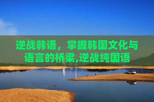 逆战韩语，掌握韩国文化与语言的桥梁,逆战纯国语