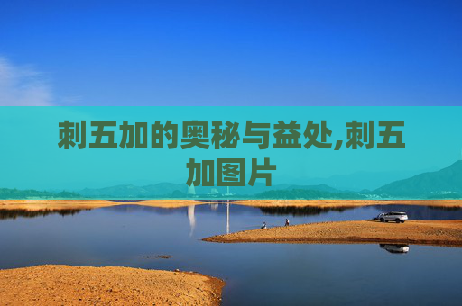 刺五加的奥秘与益处,刺五加图片