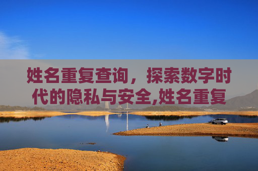 姓名重复查询，探索数字时代的隐私与安全,姓名重复查询全国