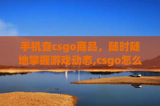 手机查csgo商品，随时随地掌握游戏动态,csgo怎么在手机上查战绩