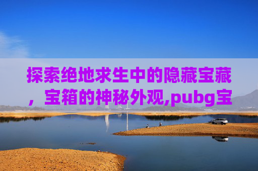 探索绝地求生中的隐藏宝藏，宝箱的神秘外观,pubg宝箱所有外观图鉴