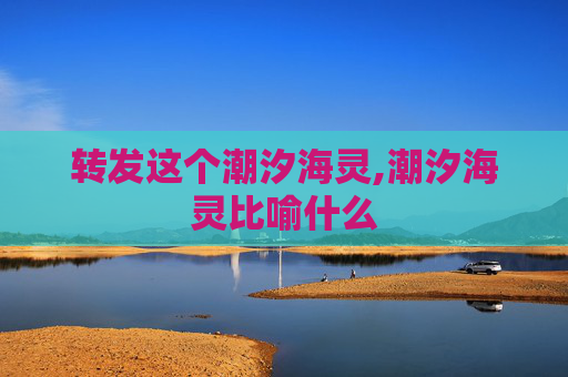 转发这个潮汐海灵,潮汐海灵比喻什么