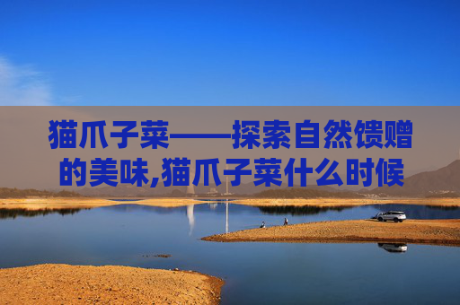 猫爪子菜——探索自然馈赠的美味,猫爪子菜什么时候种