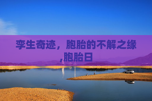 孪生奇迹，胞胎的不解之缘,胞胎日