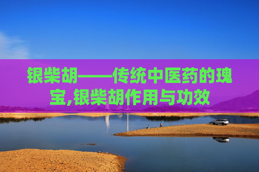 银柴胡——传统中医药的瑰宝,银柴胡作用与功效 银柴胡——传统中医药的瑰宝,银柴胡作用与功效