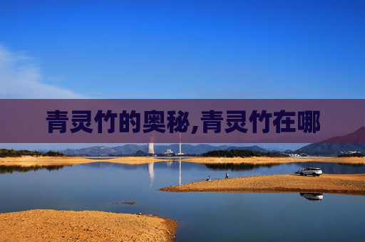 青灵竹的奥秘,青灵竹在哪