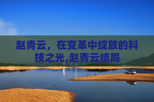 赵青云,在变革中绽放的科技之光,赵青云结局 赵青云,在变革中绽放的科技之光,赵青云结局