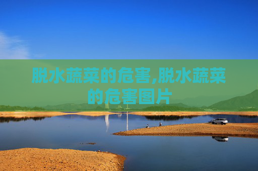 脱水蔬菜的危害,脱水蔬菜的危害图片 脱水蔬菜的危害,脱水蔬菜的危害图片