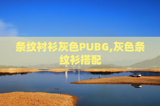 条纹衬衫灰色PUBG,灰色条纹衫搭配