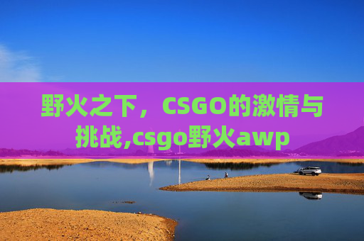 野火之下，CSGO的激情与挑战,csgo野火awp