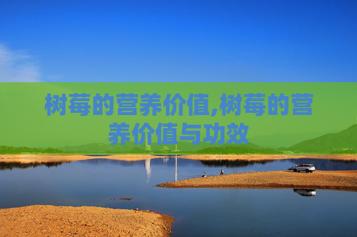 树莓的营养价值,树莓的营养价值与功效