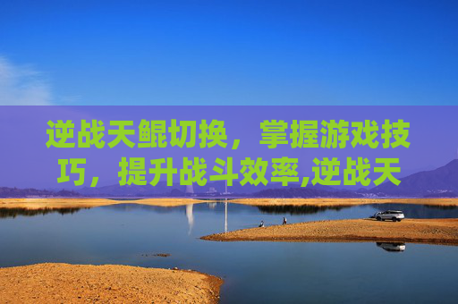 逆战天鲲切换，掌握游戏技巧，提升战斗效率,逆战天鲲套网页