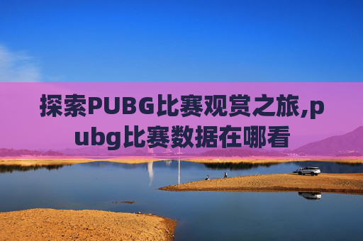 探索PUBG比赛观赏之旅,pubg比赛数据在哪看