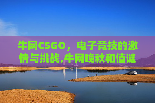 牛网CSGO，电子竞技的激情与挑战,牛网晚秋和值谜