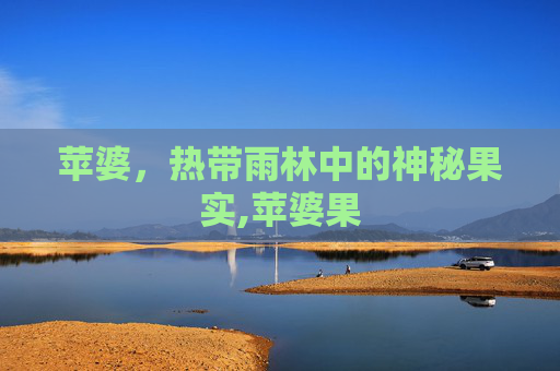 苹婆，热带雨林中的神秘果实,苹婆果