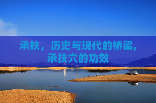 承扶，历史与现代的桥梁,承扶穴的功效