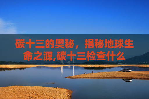 碳十三的奥秘，揭秘地球生命之源,碳十三检查什么