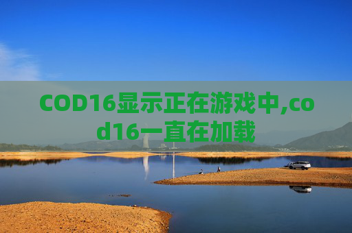 COD16显示正在游戏中,cod16一直在加载
