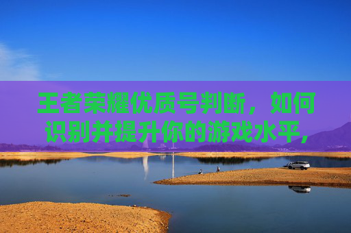 王者荣耀优质号判断，如何识别并提升你的游戏水平,王者荣耀优质号判断好坏