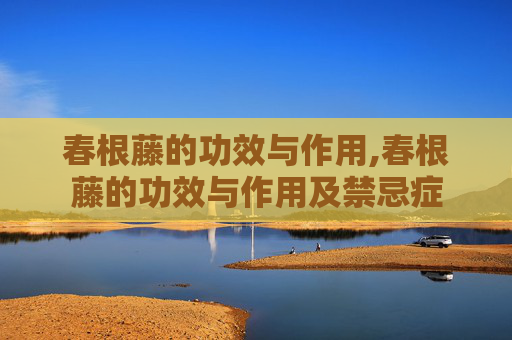 春根藤的功效与作用,春根藤的功效与作用及禁忌症