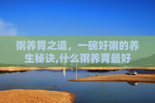 粥养胃之道，一碗好粥的养生秘诀,什么粥养胃最好