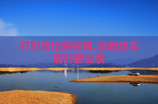 打野蔚出装指南,最新版本蔚打野出装