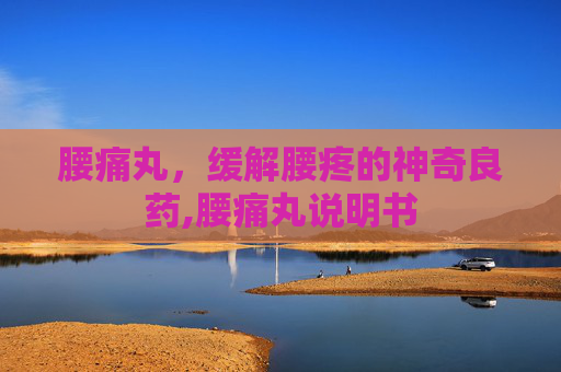 腰痛丸，缓解腰疼的神奇良药,腰痛丸说明书