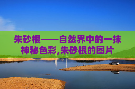 朱砂根——自然界中的一抹神秘色彩,朱砂根的图片 朱砂根——自然界中的一抹神秘色彩,朱砂根的图片