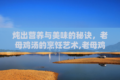 炖出营养与美味的秘诀，老母鸡汤的烹饪艺术,老母鸡汤怎么炖好喝又营养视频